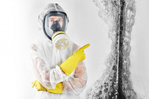 Tour d&rsquo;horizon des polluants de l&rsquo;air intérieur